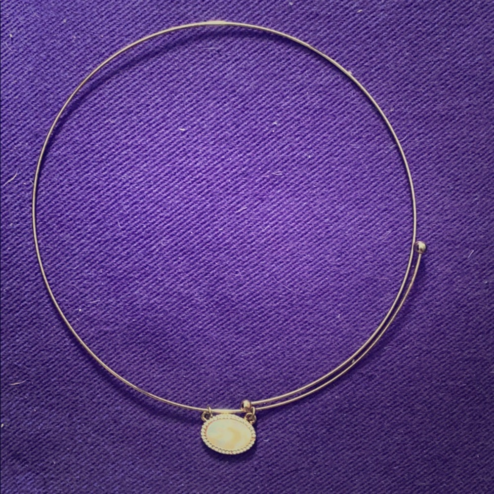 Banana Republic Mother of pearl choker necklace